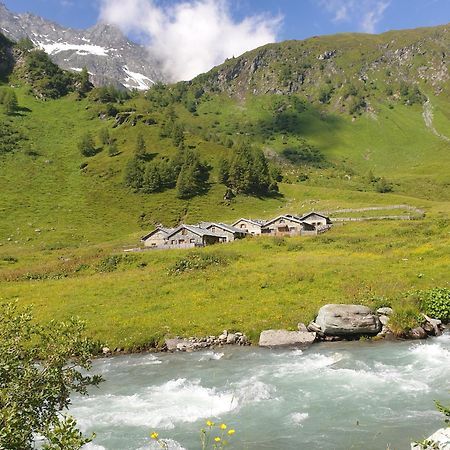 Gaestehaus Zedlacherhof Matrei in Osttirol Ngoại thất bức ảnh