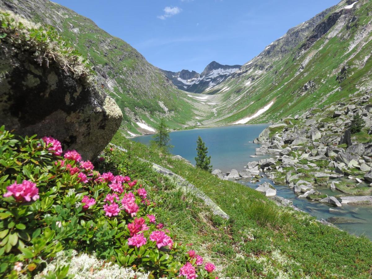 Gaestehaus Zedlacherhof Matrei in Osttirol Ngoại thất bức ảnh