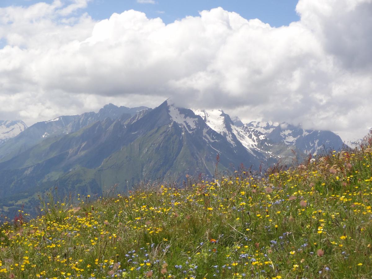 Gaestehaus Zedlacherhof Matrei in Osttirol Ngoại thất bức ảnh
