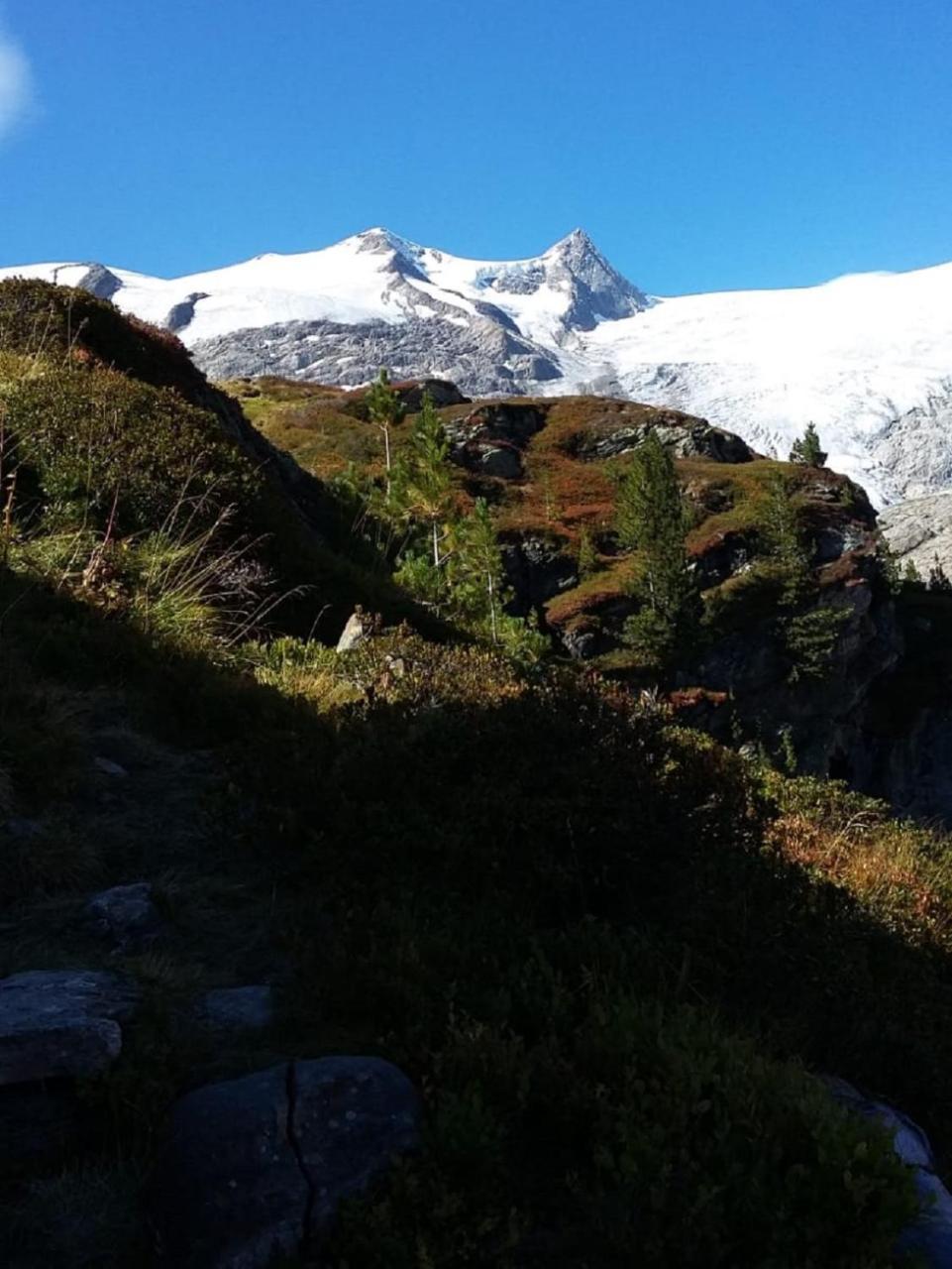 Gaestehaus Zedlacherhof Matrei in Osttirol Ngoại thất bức ảnh